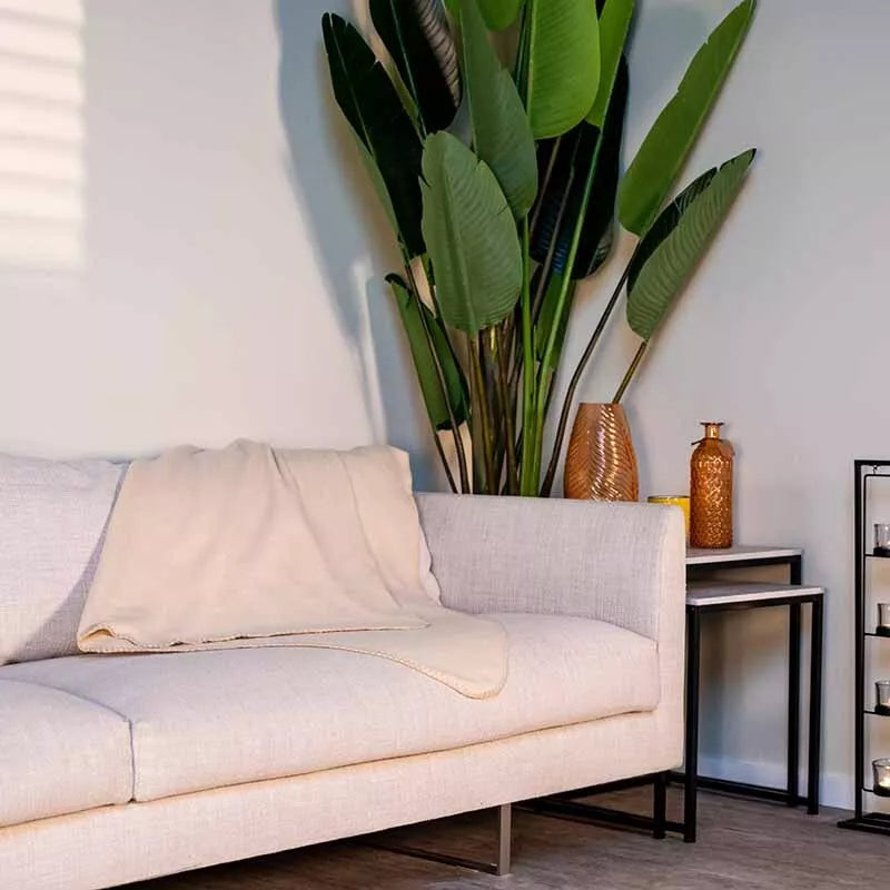 Fleece pledas 170x130 (Kremas)