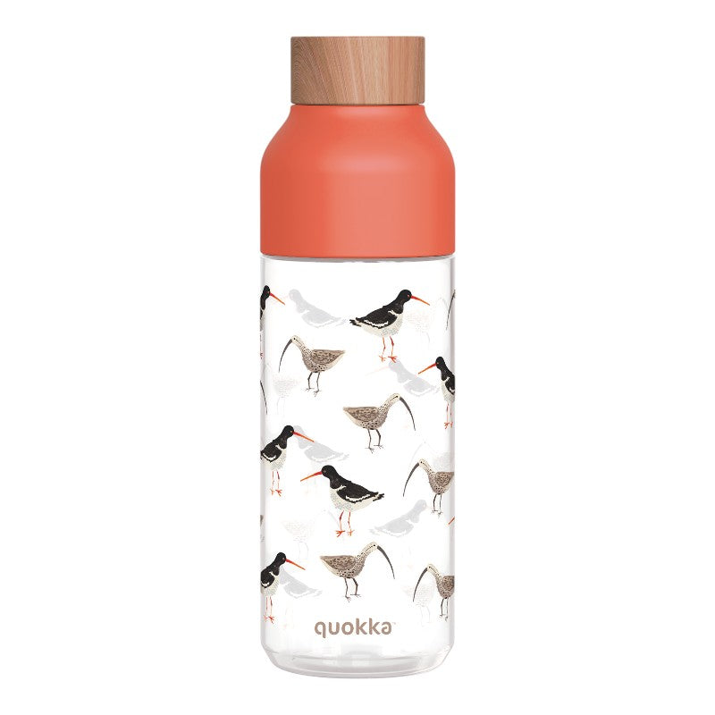 Quokka Ice - Ecozen Vandens butelis 720 ml (Paukščiai)