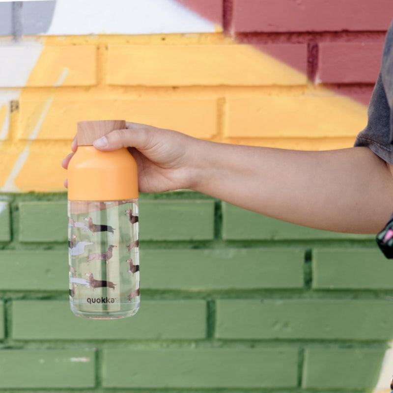 Quokka Ice - Ecozen Vandens buteliukas 570 ml (Takso)