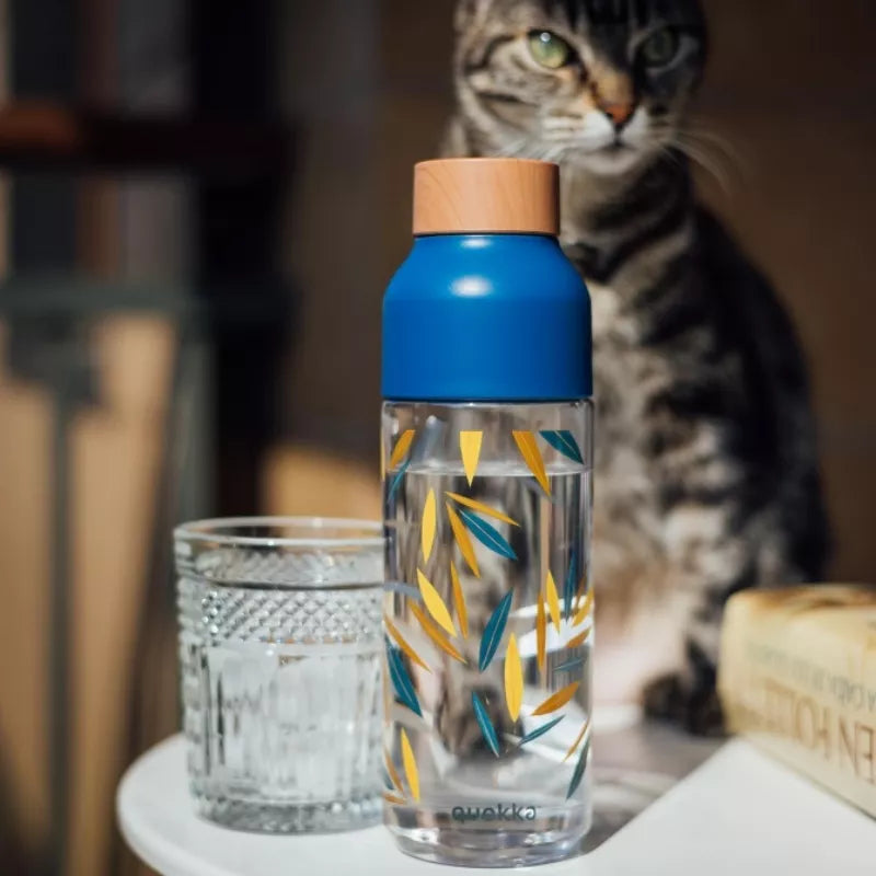 Quokka Ice - Ecozen Vandens butelis 720 ml (Bambukas)